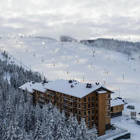 Lux D21 Ski-in Ski-out, Center By Aavalevi *