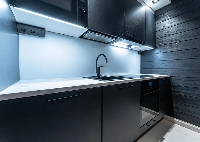 Arctic Echo D21 Ski-in Ski-out By Aavalevi * 레비